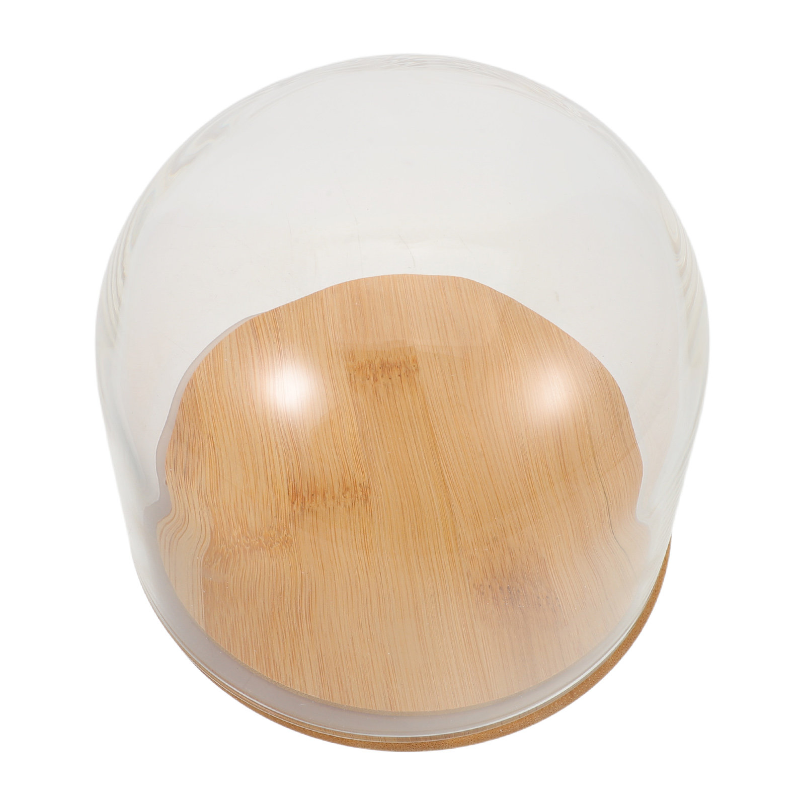 Plastic Dome Clear - Cloche en verre transparent avec base