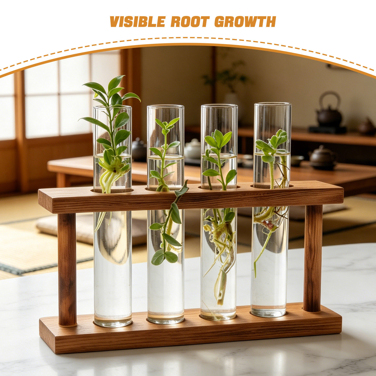 Support en bois pour la propag - Propagation Station Vase avis et prix