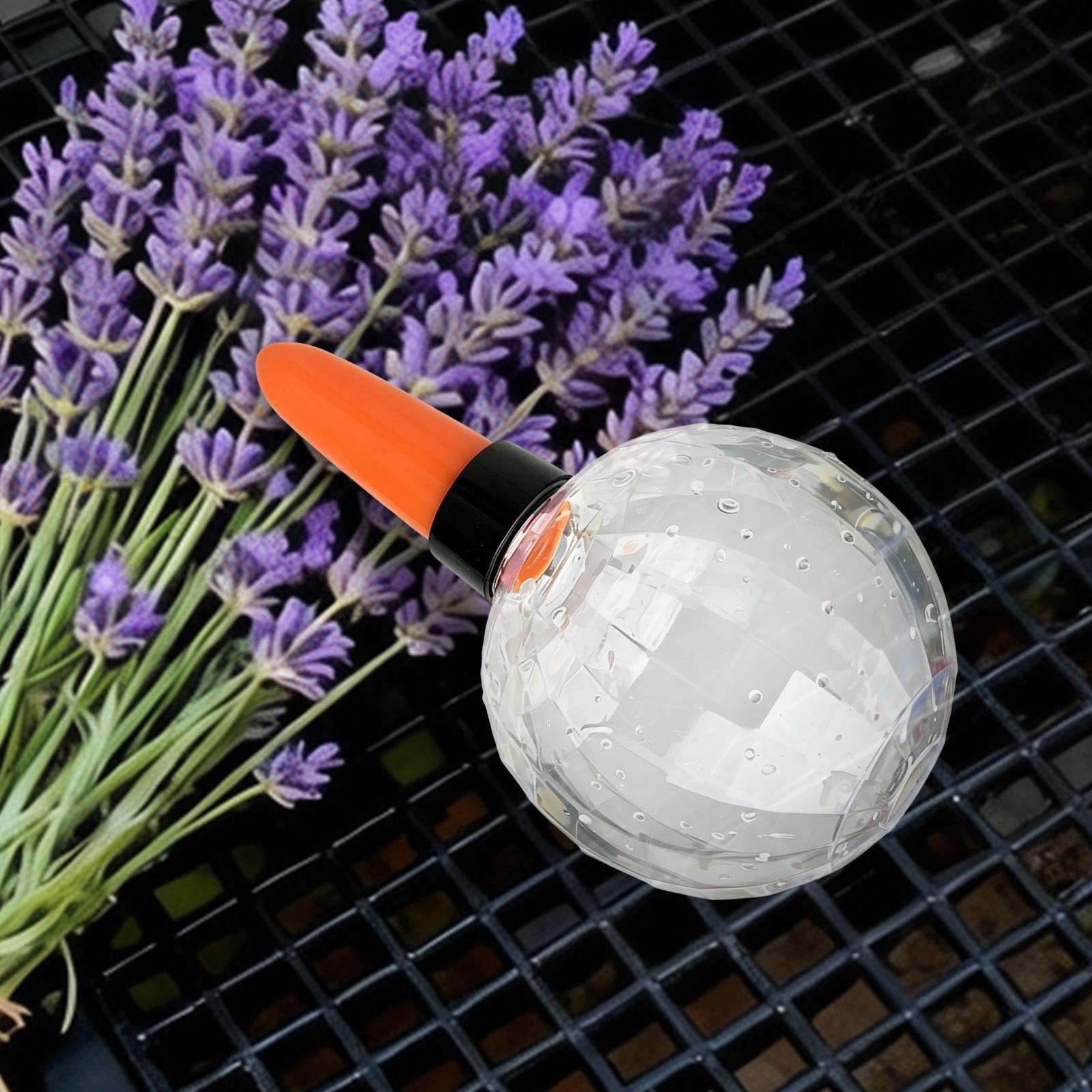 Insert de jardinière auto-arro - Self Watering Insert avis et prix