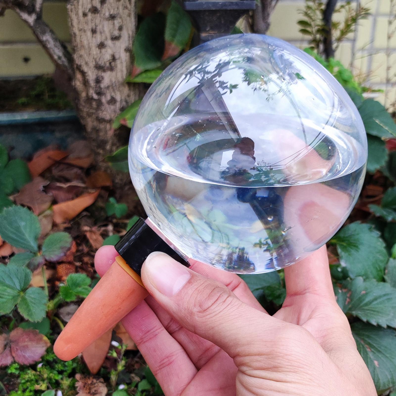 Globes d'arrosage automatique  - Self Watering Insert avis et prix
