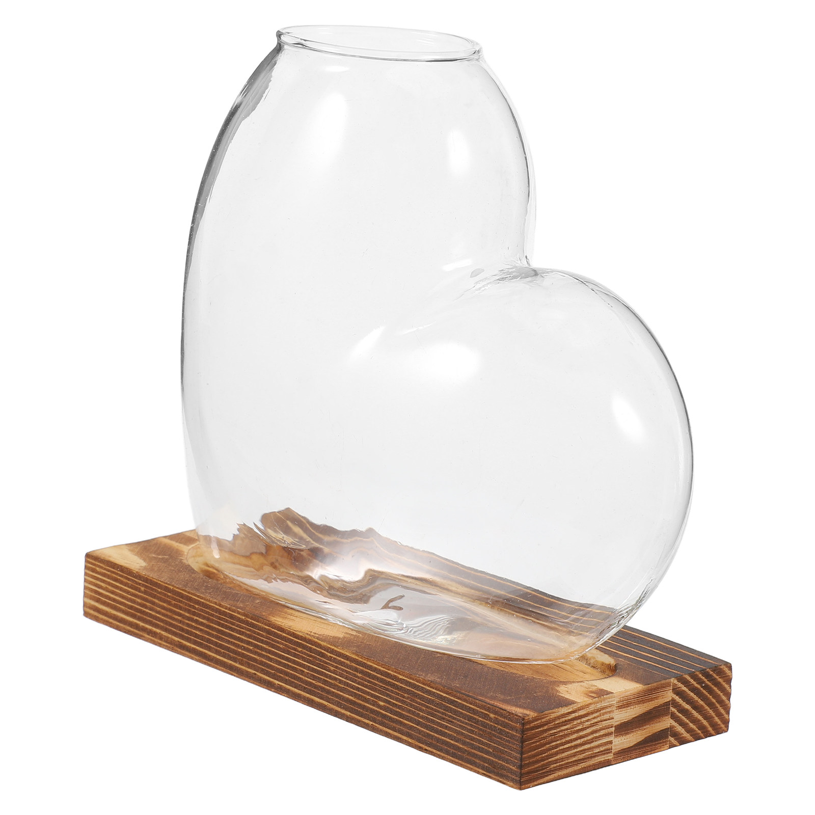 Vase en verre hydroponique tra - Propagation Station Vase avis et prix